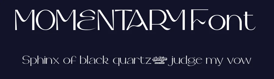 Momentary Font by noahtype — Decorative Font — thumbnail 2