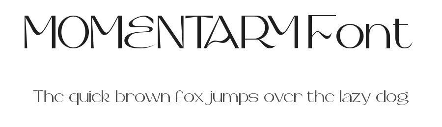 Momentary Font by noahtype — Decorative Font
