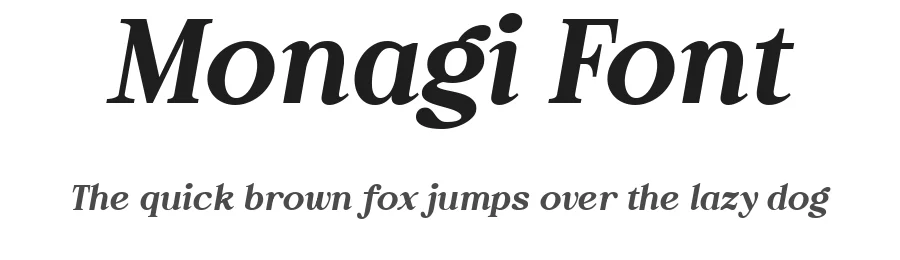 Monagi Font by Drizy — Serif Font