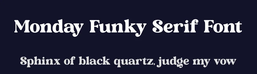 Monday Funky Serif Font by timelesstype.co — Display Font — thumbnail 2