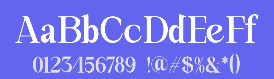 Monexsa Font by Rafis Type — Serif Font — thumbnail 3