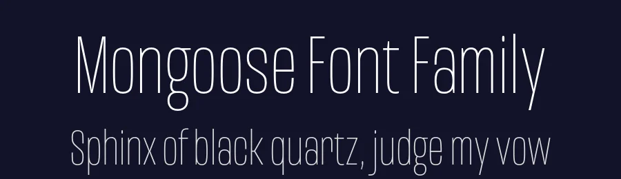 Mongoose Font Family by Kostic — Sans Serif Font — thumbnail 2