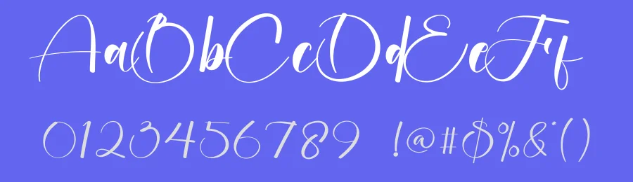 Monica Calligraphy Font by creativeletter — Script Handwritten Font — thumbnail 3