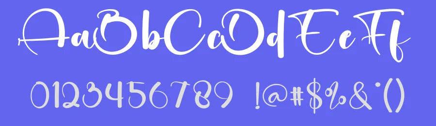 Monica Calligraphy Script Font by creativeletter — Script Handwritten Font — thumbnail 3