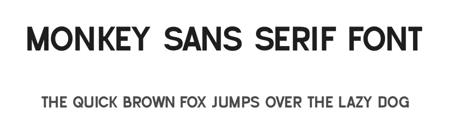 Monkey Sans Serif Font by Almairatype — Decorative Font