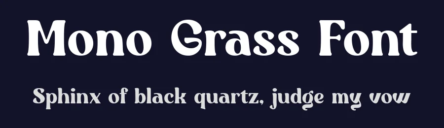 Mono Grass Font by ClevUs — Serif Font — thumbnail 2