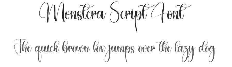 Monstera Script Font by creativeletter — Script Handwritten Font