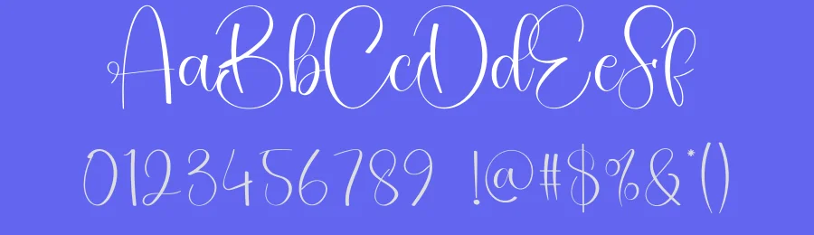 Montage Calligraphy Font by creativeletter — Script Handwritten Font — thumbnail 3