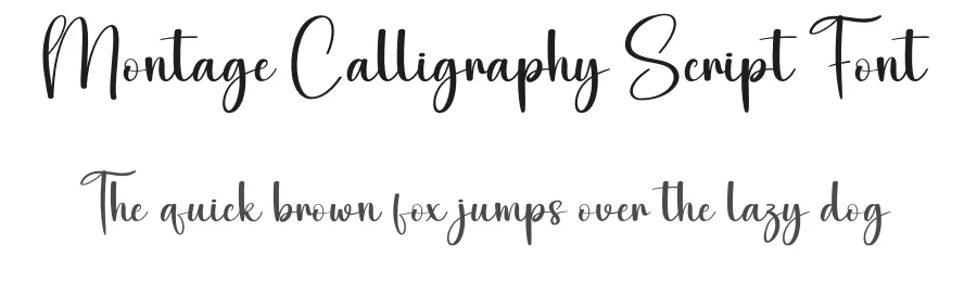 Montage Calligraphy Script Font by creativeletter — Script Handwritten Font