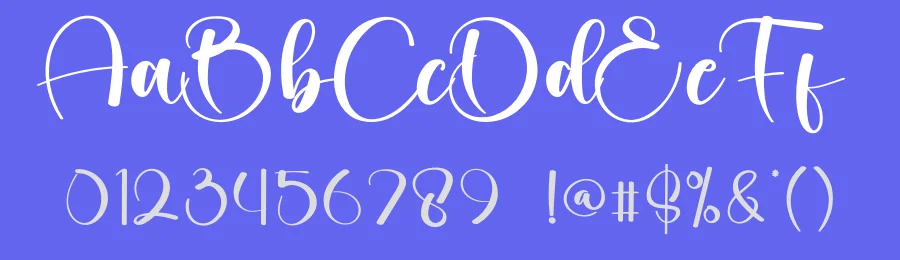 Montage Calligraphy Script Font by creativeletter — Script Handwritten Font — thumbnail 3