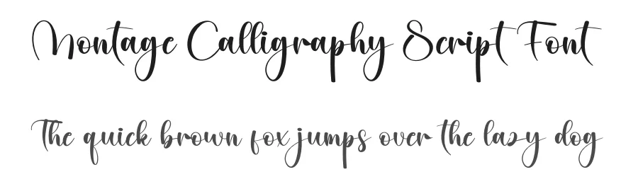 Montage Calligraphy Script Font by creativeletter — Script Handwritten Font