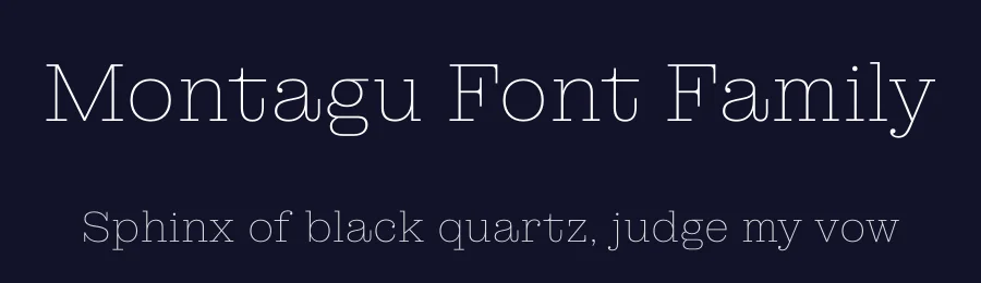 Montagu Font Family by Florian Karsten — Slab Serif Font — thumbnail 2