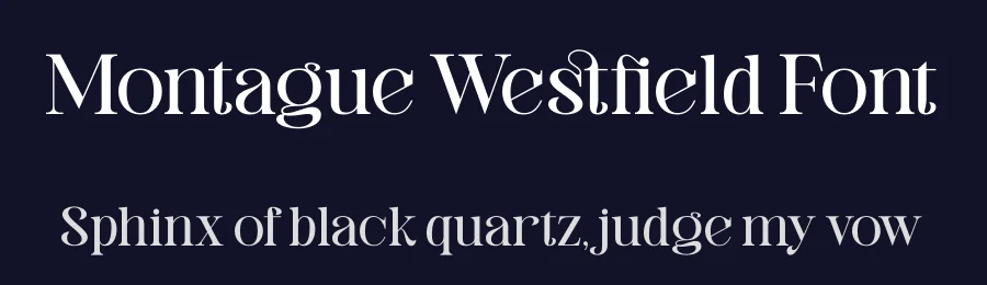 Montague Westfield Font by timelesstype.co — Serif Font — thumbnail 2