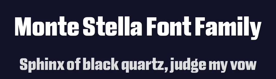 Monte Stella Font Family by daltonmaag — Sans Serif Font — thumbnail 2