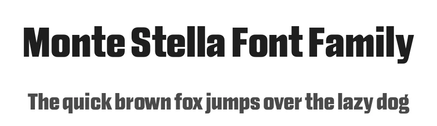 Monte Stella Font Family by daltonmaag β Sans Serif Font
