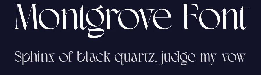 Montgrove Font by Surplus Type Co — Serif Font — thumbnail 2
