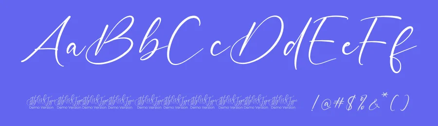 Montise Natasha – Stylish Handwritten Font by stylishtype.co — Script Handwritten Font — thumbnail 3