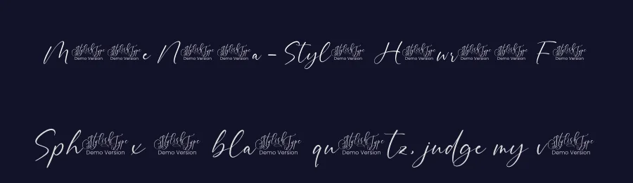 Montise Natasha – Stylish Handwritten Font by stylishtype.co — Script Handwritten Font — thumbnail 2