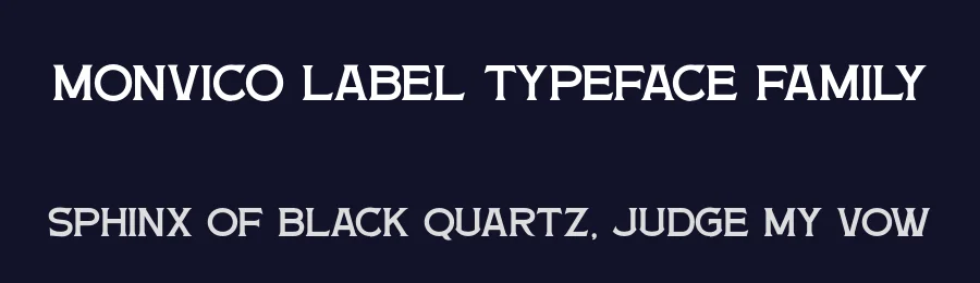 Monvico Label Typeface Family by Letterhend Studio — Sans Serif Font — thumbnail 2