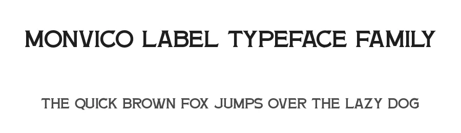 Monvico Label Typeface Family by Letterhend Studio — Sans Serif Font