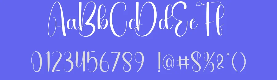 Moonlight Calligraphy Script Font by creativeletter — Script Handwritten Font — thumbnail 3