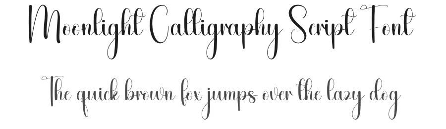 Moonlight Calligraphy Script Font by creativeletter — Script Handwritten Font