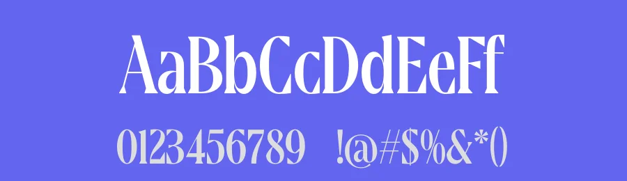 Moonni Zehher Serif Font by timelesstype.co — Display Font — thumbnail 3