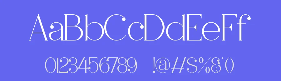 Morenn || Modern Classy Serif Font by ErmediaStudio — Display Font — thumbnail 3