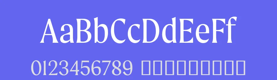 Moret Font Family by The Northern Block — Serif Font — thumbnail 3