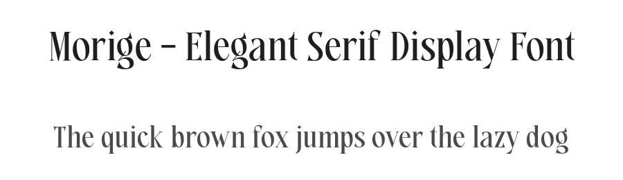 Morige – Elegant Serif Display Font by roomspace.cl — Display Font