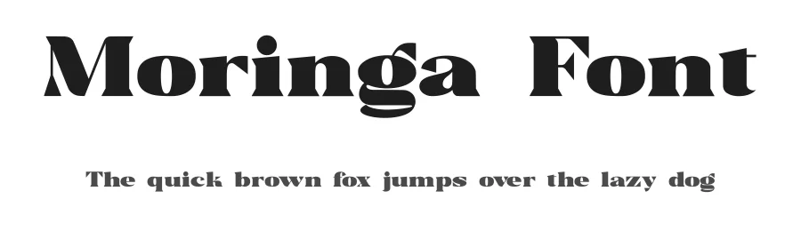 Moringa Font by Roughlines ID — Display Font