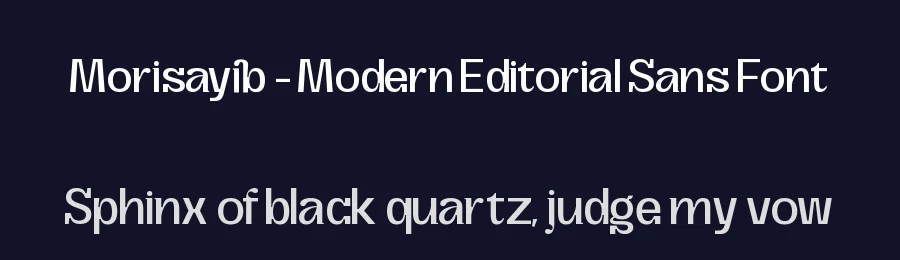 Morisayib – Modern Editorial Sans Font by timelesstype.co — Serif Font — thumbnail 2