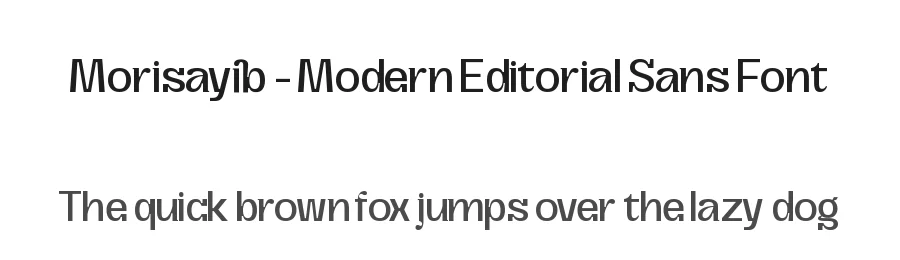 Morisayib – Modern Editorial Sans Font by timelesstype.co — Serif Font