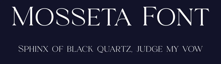 Mosseta Font by Rantautype — Serif Font — thumbnail 2