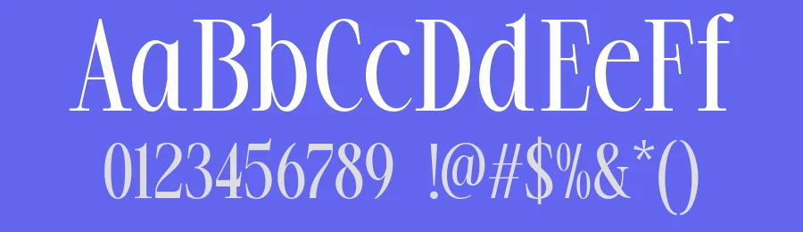 Mostena – Modern Elegant Serif Font by roomspace.cl — Serif Font — thumbnail 3