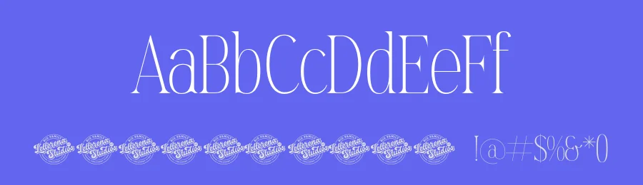 Mostlight Font by letterenastudios — Serif Font — thumbnail 3