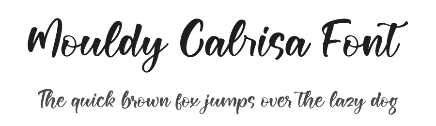 Mouldy Calrisa Font by letterfabric — Script Handwritten Font