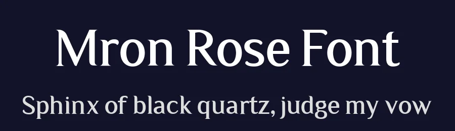 Mron Rose Font by Balevgraph Studio — Serif Font — thumbnail 2