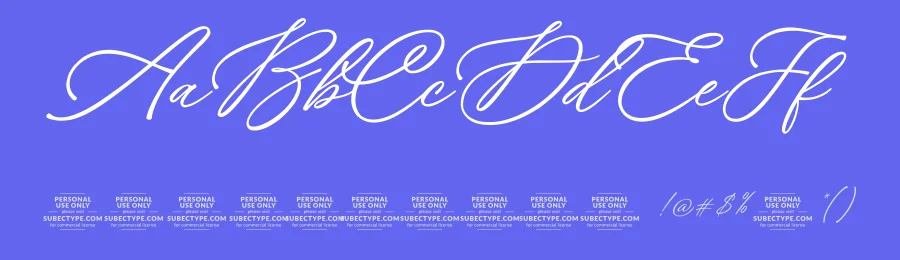 Ms . Chelsea Font by Subectype — Script Handwritten Font — thumbnail 3