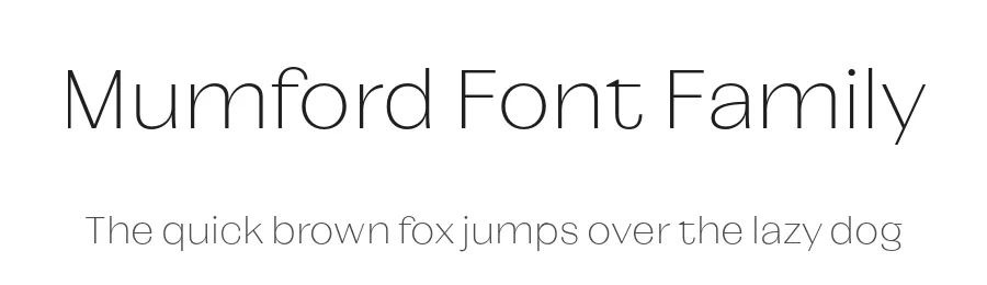 Mumford Font Family by fragTYPE β Sans Serif Font