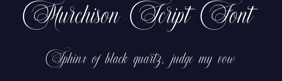 Murchison Script Font by stripesstudio — Script Handwritten Font — thumbnail 2