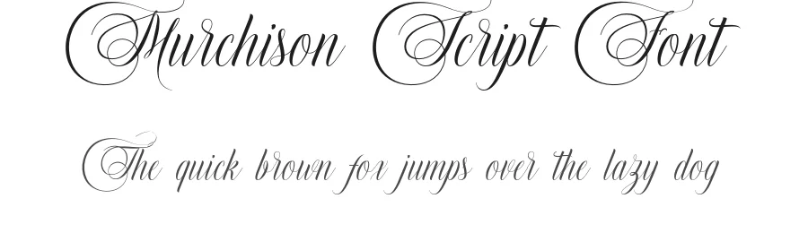 Murchison Script Font by stripesstudio — Script Handwritten Font