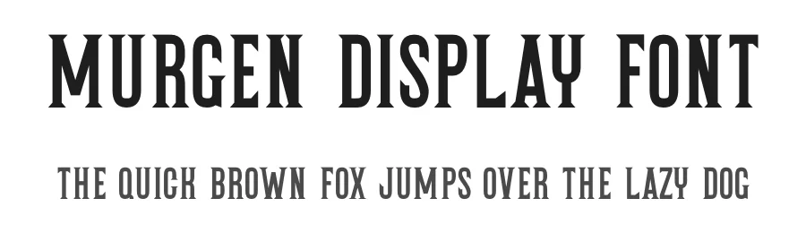 Murgen Display Font by Almairatype — Serif Font