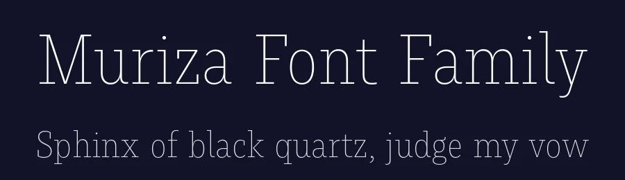 Muriza Font Family by Jakob Runge — Serif Font — thumbnail 2