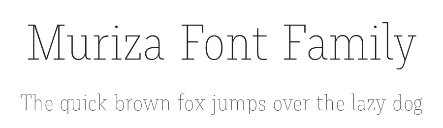 Muriza Font Family by Jakob Runge — Serif Font