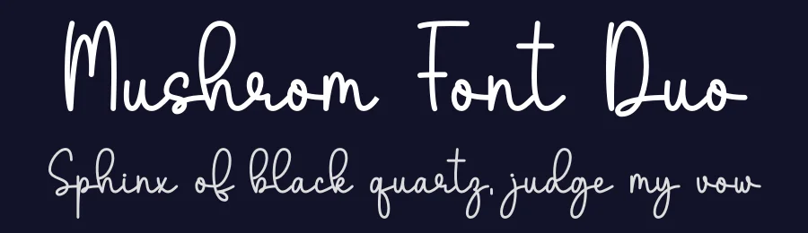 Mushrom Font Duo by DN Creative — Script Handwritten Font — thumbnail 2