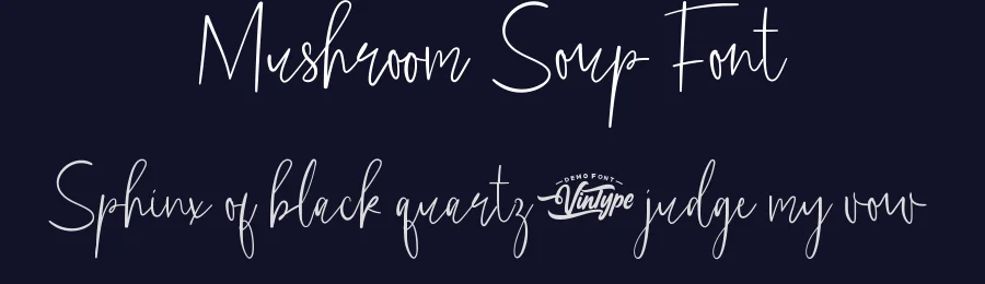 Mushroom Soup Font by VinType — Script Handwritten Font — thumbnail 2