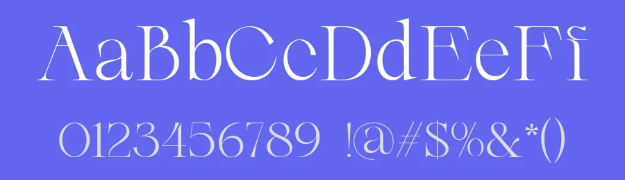 Mustinya Font by zafira.type — Serif Font — thumbnail 3