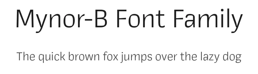 Mynor-B Font Family by The Northern Block — Decorative Font