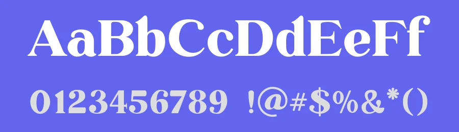 Nadysah Font by gianstudio12 — Serif Font — thumbnail 3